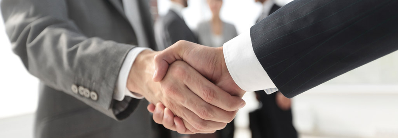 handshake_opt_crop